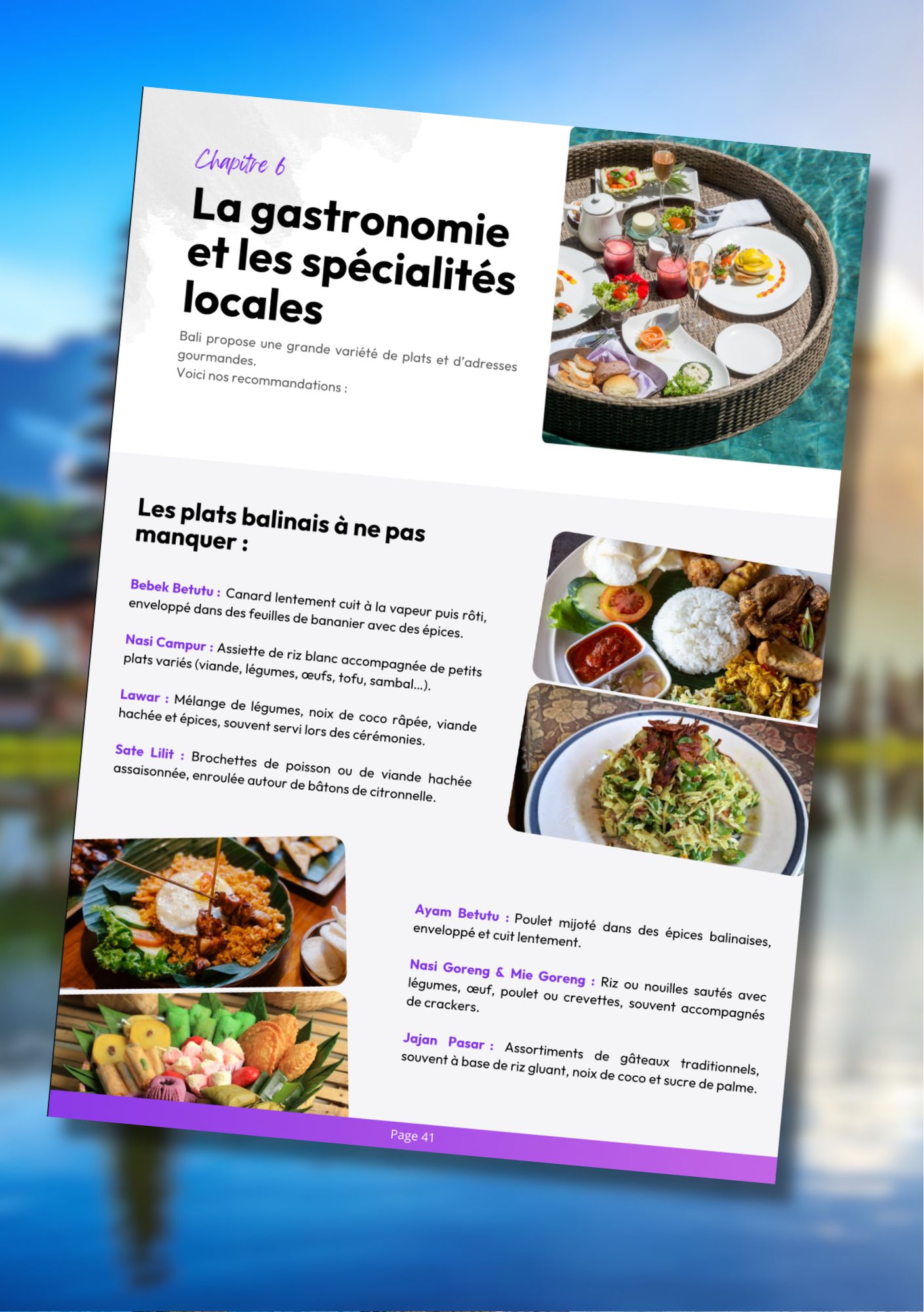 Les 100 splendeurs de Bali⎜Format Numérique