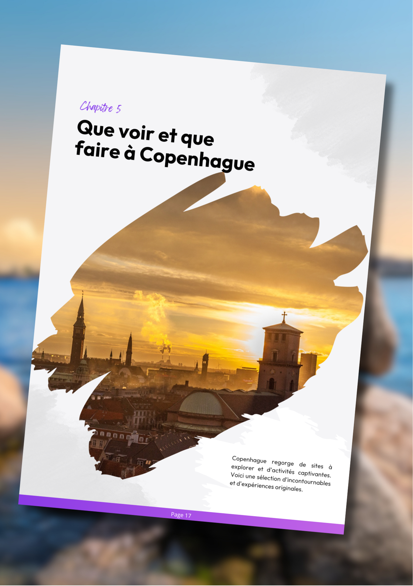 Les splendeurs de Copenhague⎜Format Numérique