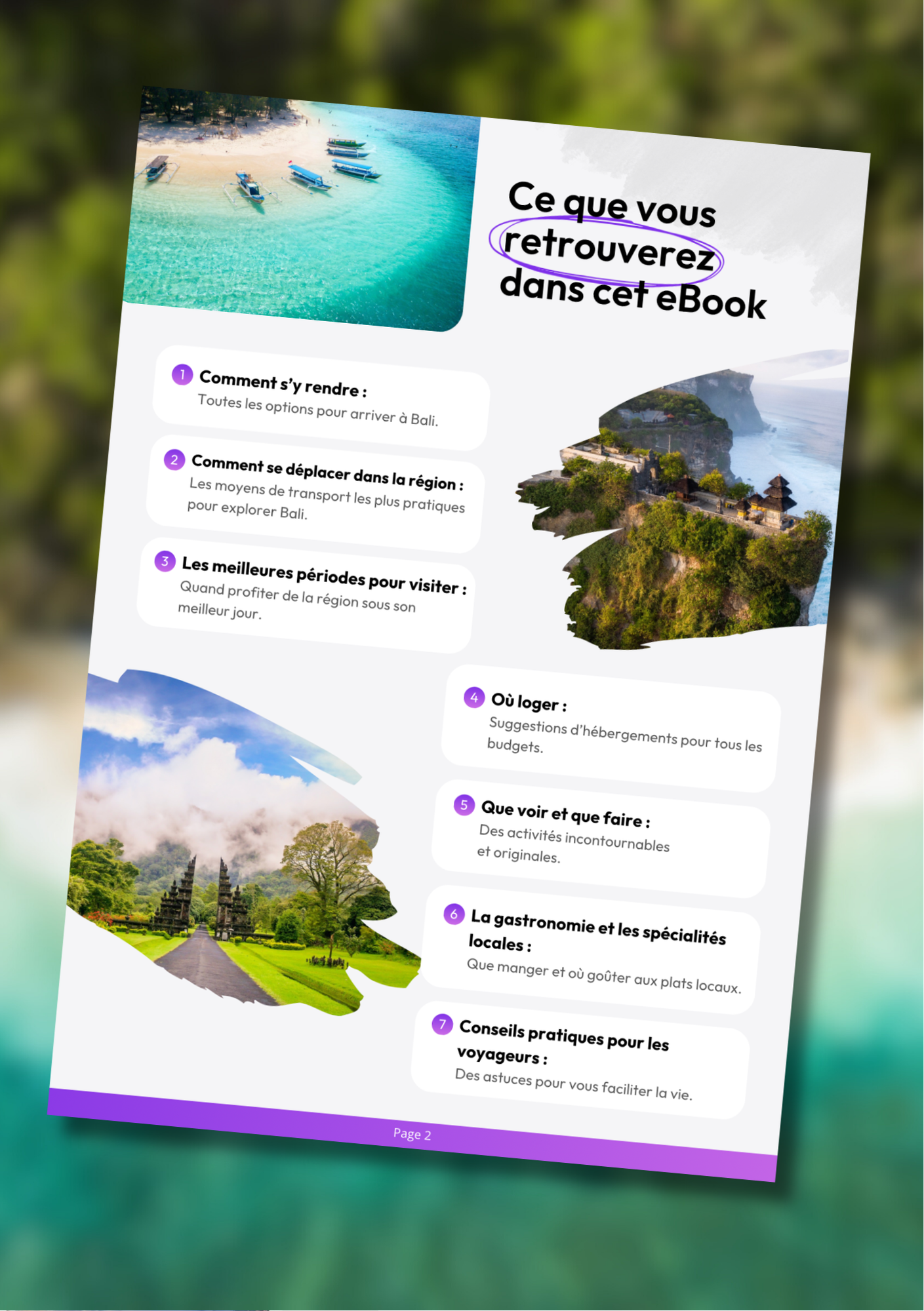 Les 100 splendeurs de Bali⎜Format Numérique