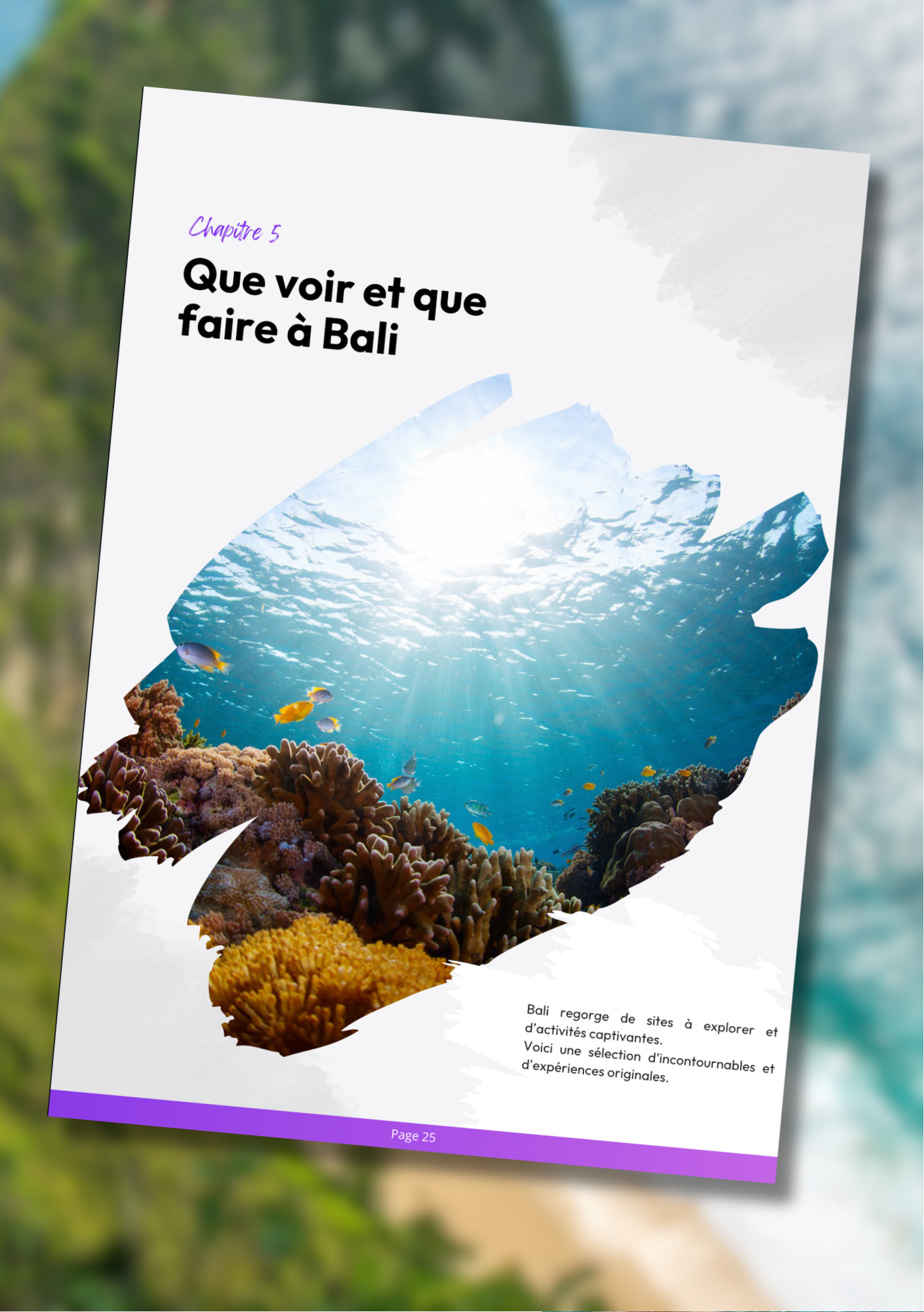 Les 100 splendeurs de Bali⎜Format Numérique