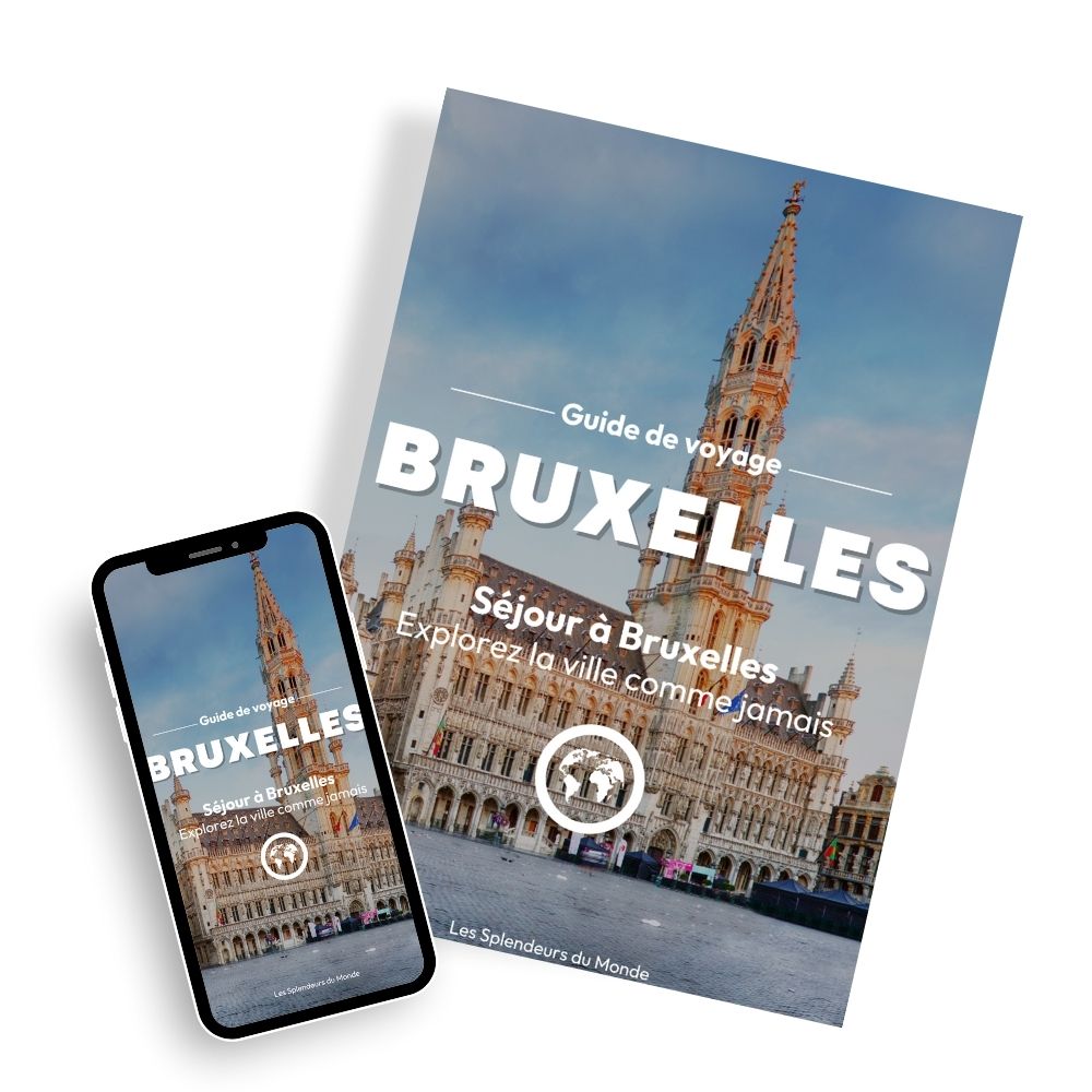 Les splendeurs de Bruxelles ⎜Format Numérique