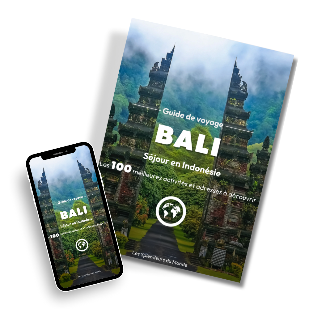 Les splendeurs de Bali⎜Format Numérique